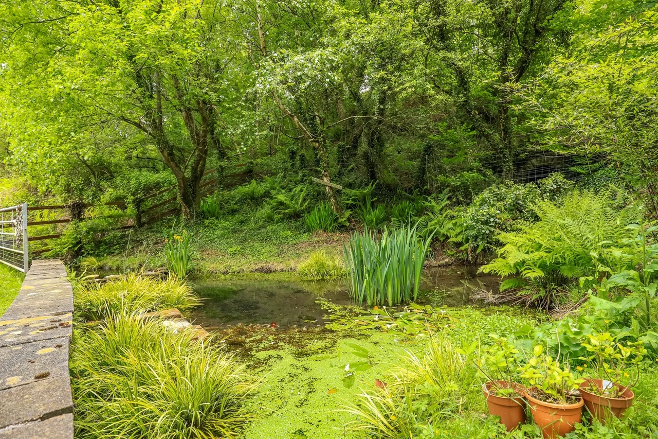 Taff Merthyr House Treharris, CF46, photo 34