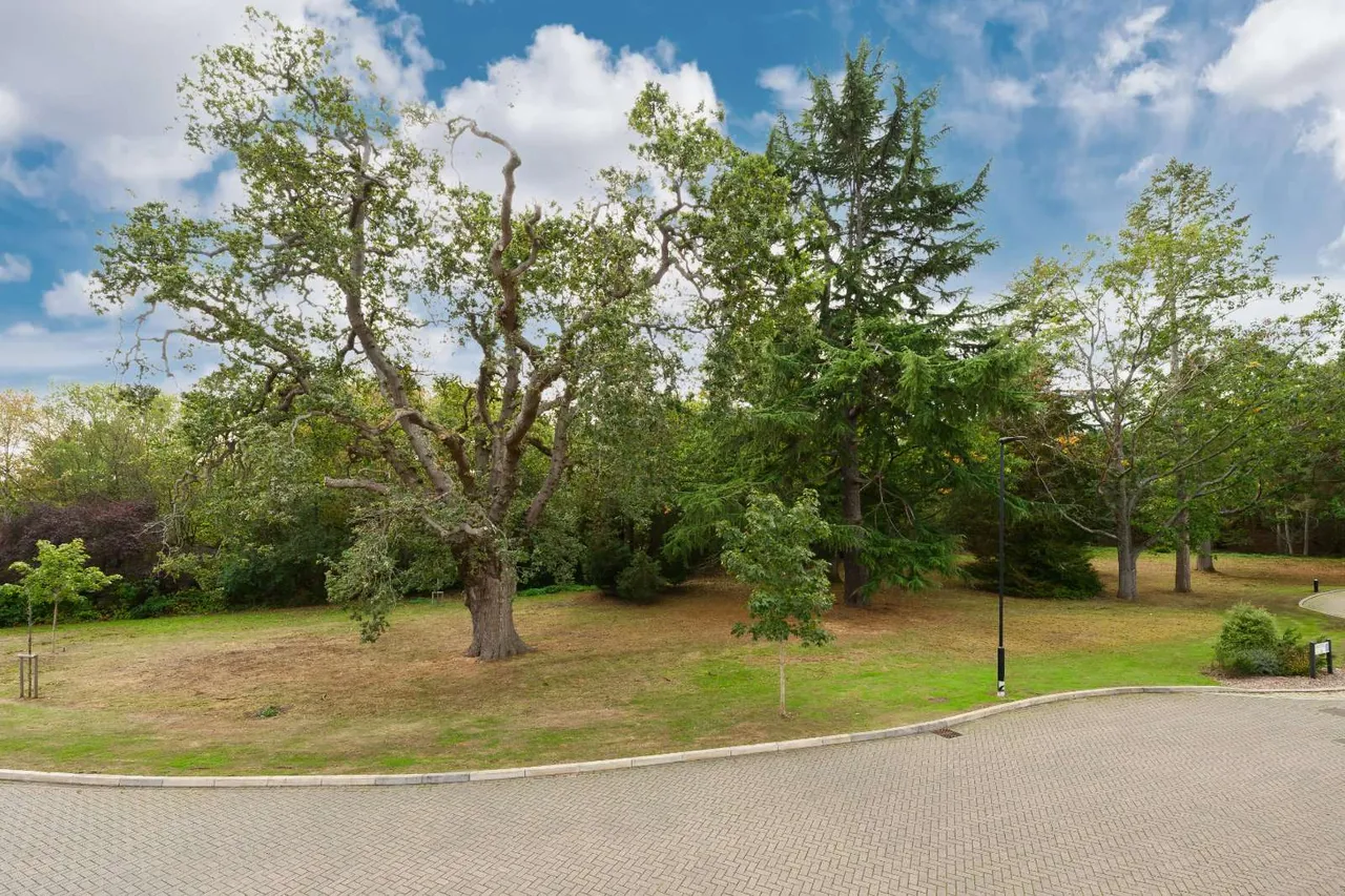Botleys Road, Ottershaw, KT16, photo 22