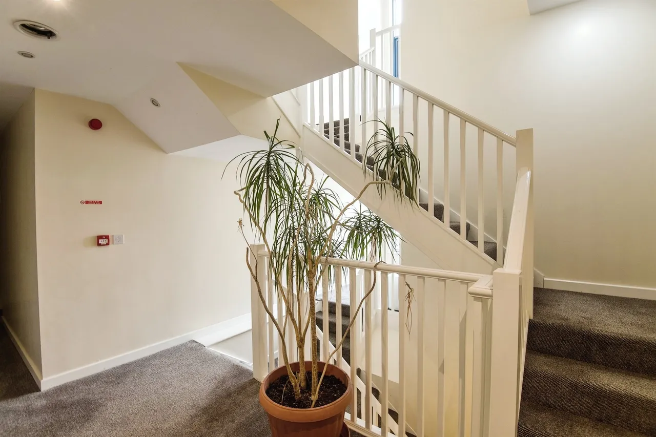 Smythen Street, Exeter, photo 4