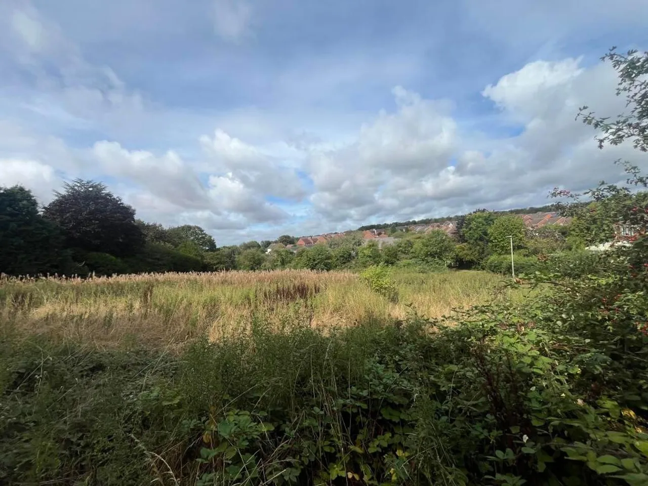 Queens Street, Measham, DE12, photo 16