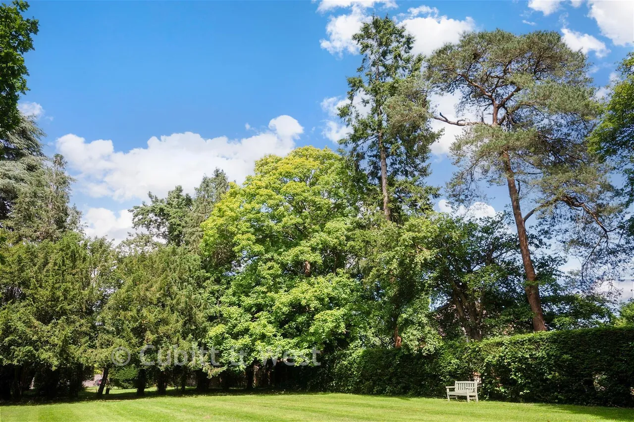 Highacre, Dorking, RH4, photo 15