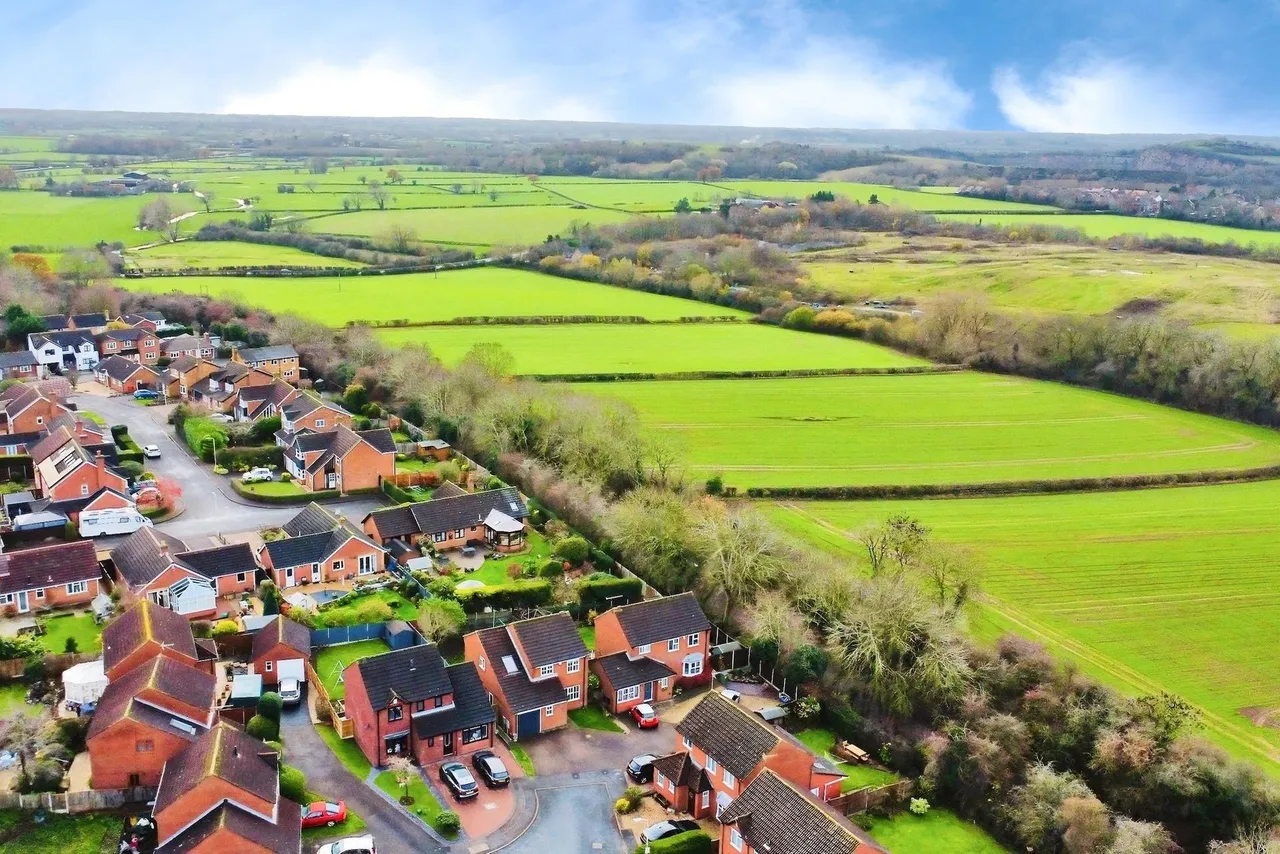 Marigold Way, Narborough, LE19, photo 23