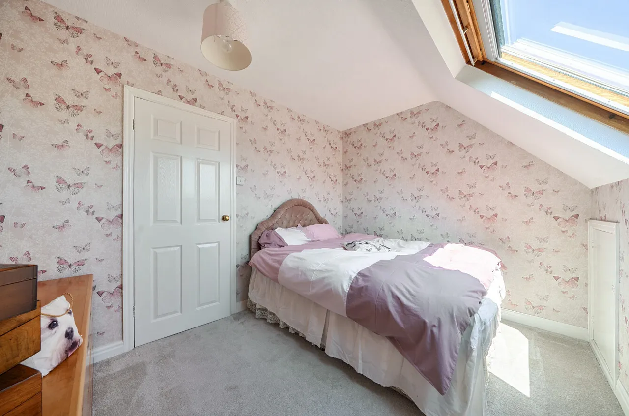 Meifod, Powys, photo 18