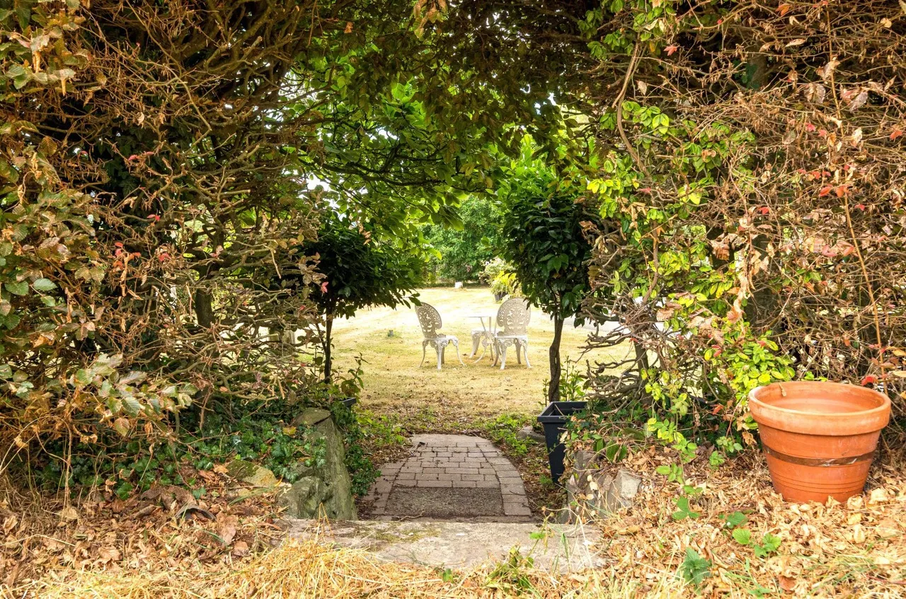 Meifod, Powys, photo 51
