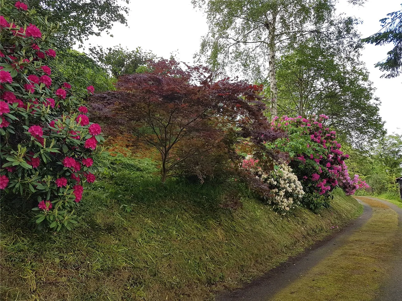 Milford Road, Newtown, photo 36