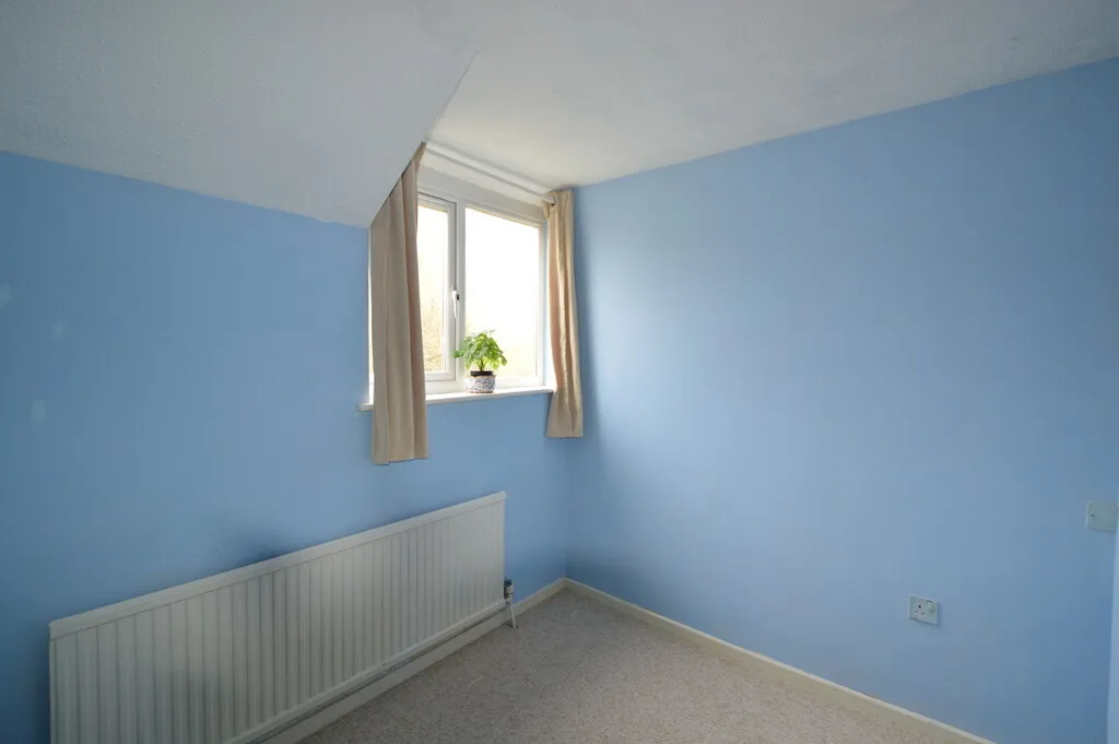 Walnut Close, Axbridge, BS26, photo 13