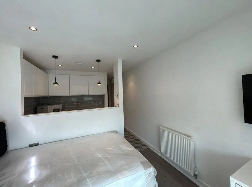 Alma Street, Sheffield, S3, photo 5