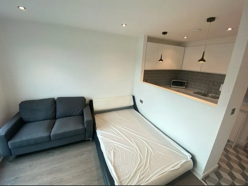 Alma Street, Sheffield, S3, photo 9