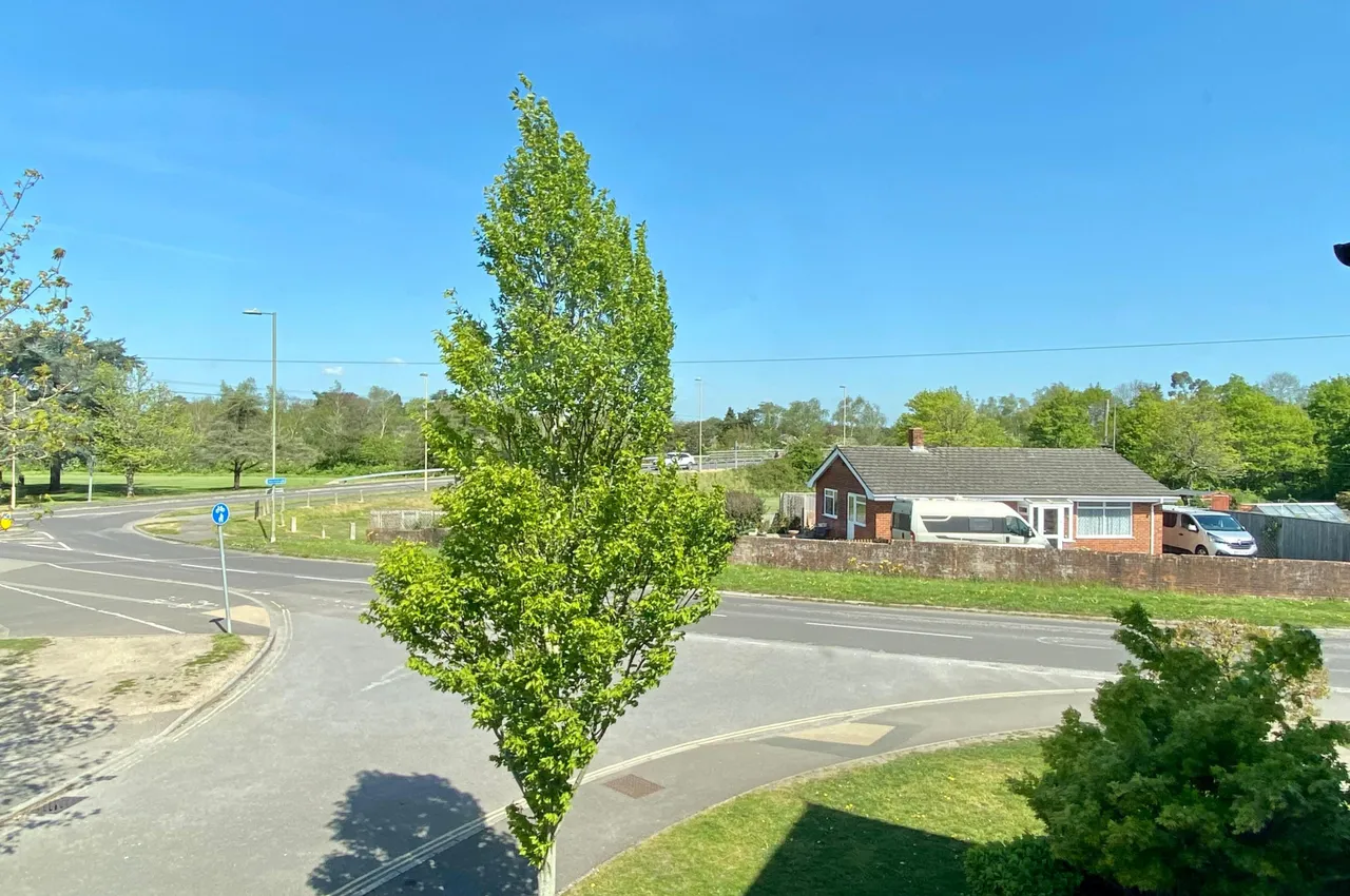 Parsonage Barn Lane, BH24, photo 23