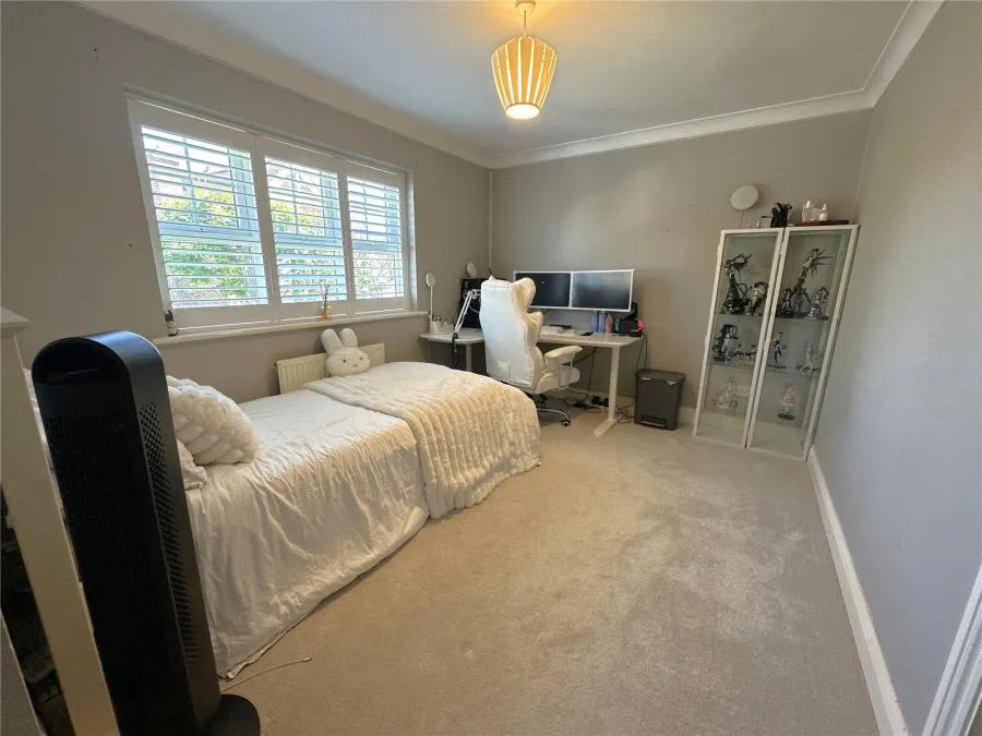 Coral Reef Close, Eastbourne, BN23, photo 15