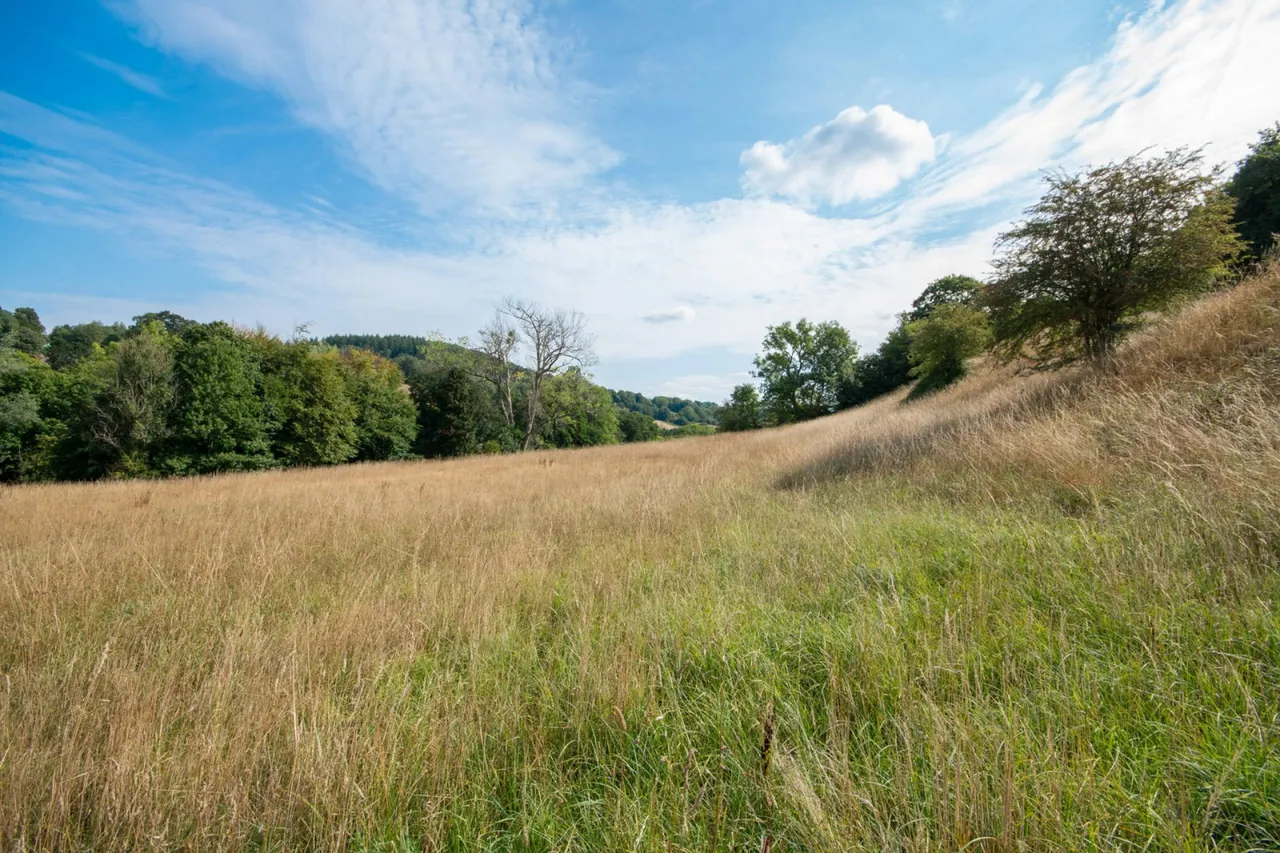 Laundry Lane, Newland, GL16, photo 14