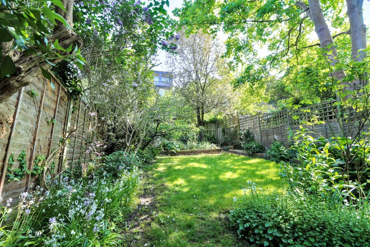 Lansdowne Lane, photo 6