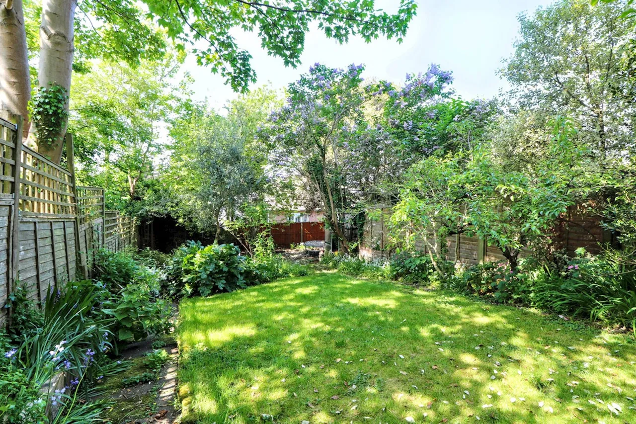 Lansdowne Lane, photo 11
