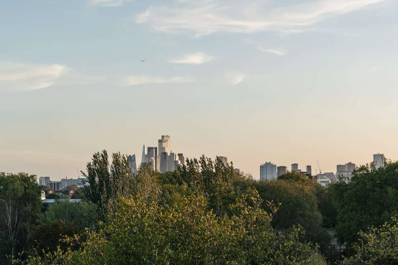 Downs Road, London, E5, photo 10
