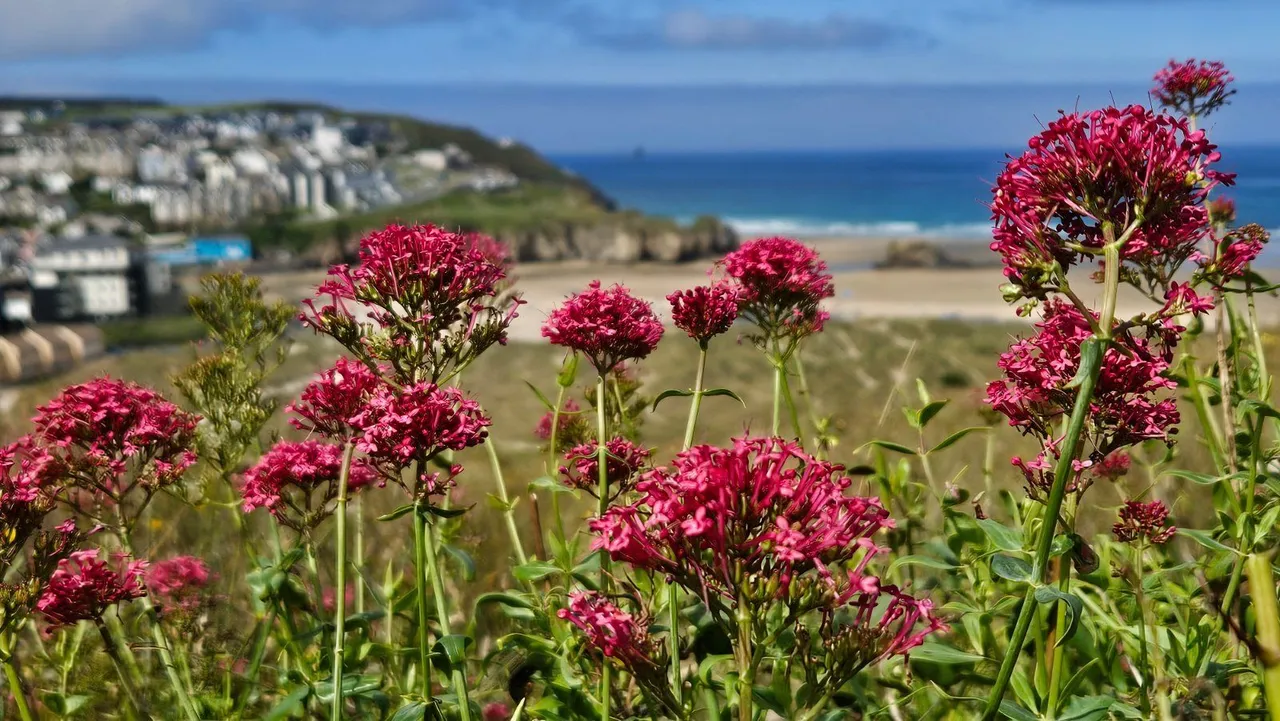 Ramoth Way, Perranporth, Cornwall, TR6 0BY, photo 12