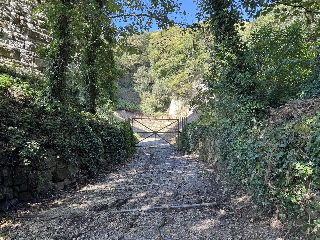 Trenance Road, St. Austell, photo 7