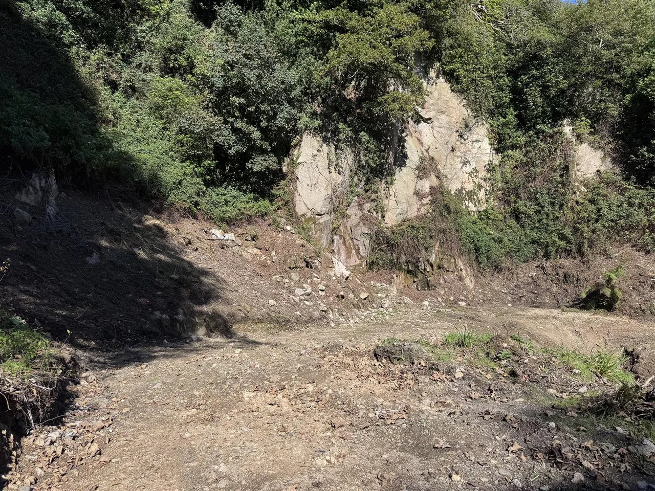 Trenance Road, St. Austell, photo 13