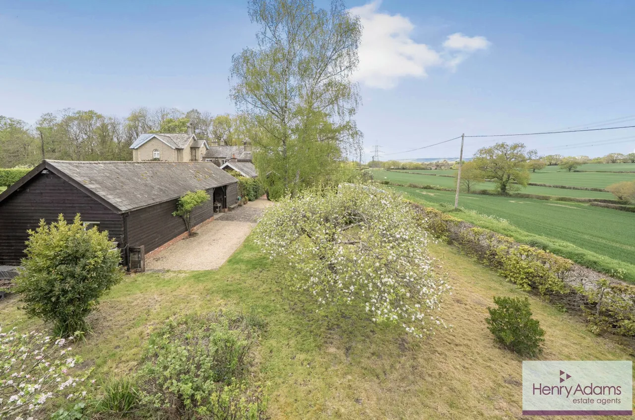 Nyewood, Petersfield, GU31, photo 22