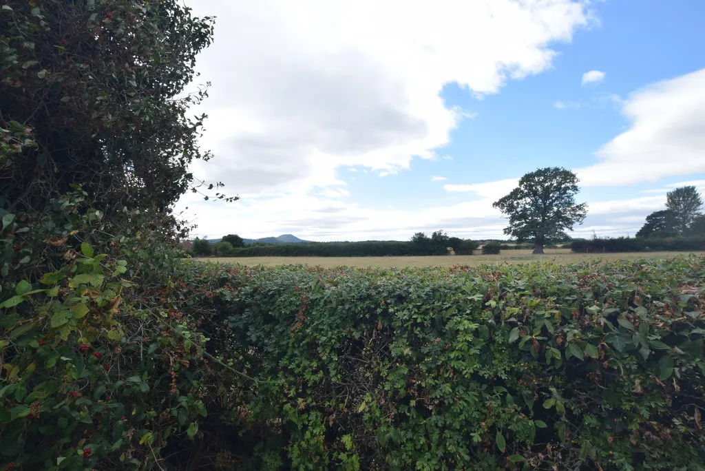 Preston, Telford, TF6, photo 15