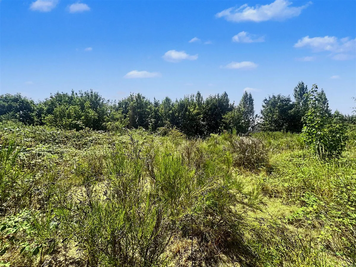 Kenneth Avenue & East Lane, Stainforth Doncaster, DN7, photo 5