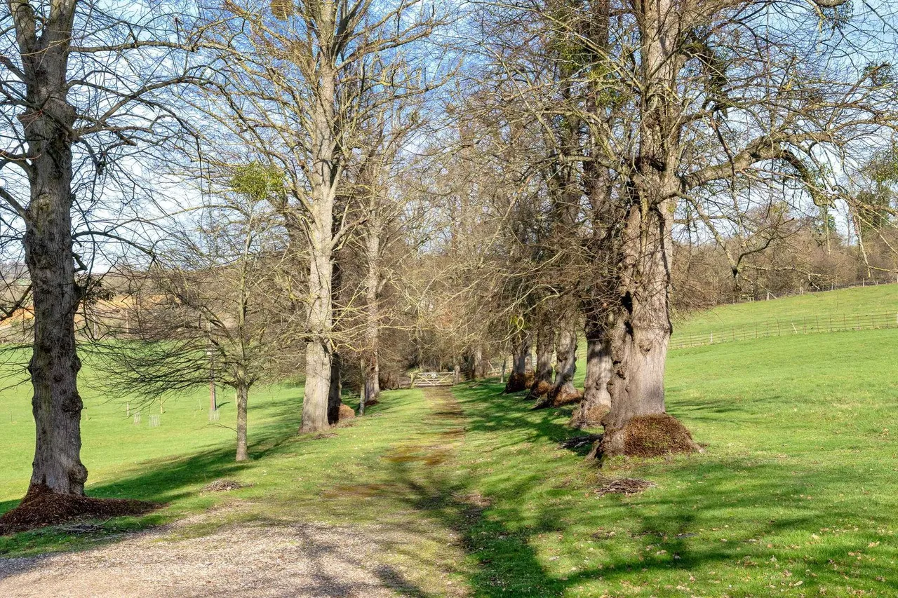 Oakhurst, Frogmore Hall, SG14, photo 48