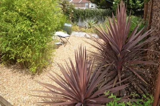 St Augustine Road, Portsmouth, PO4, photo 8