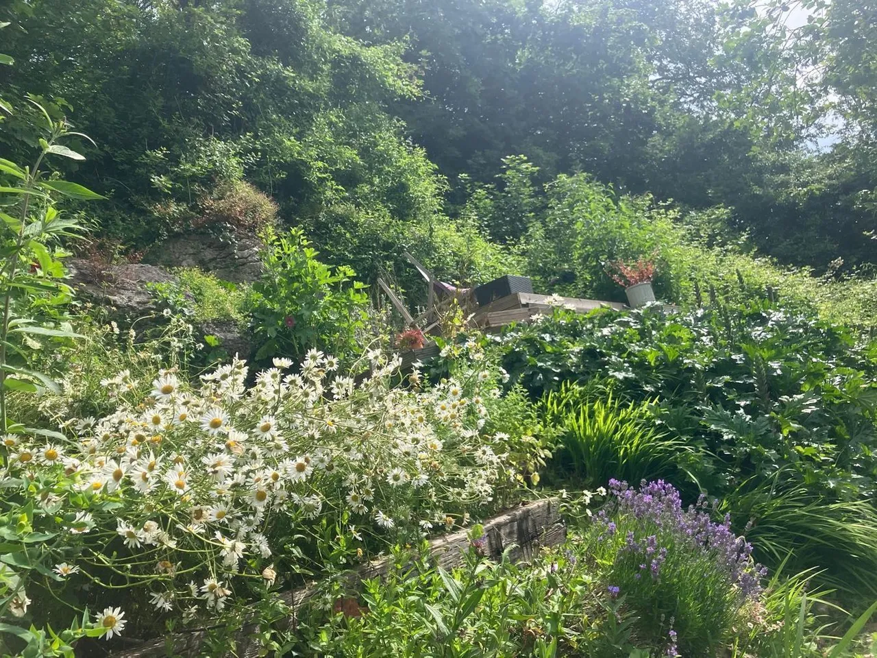 Wookey Hole, Nr Wells, BA5, photo 21
