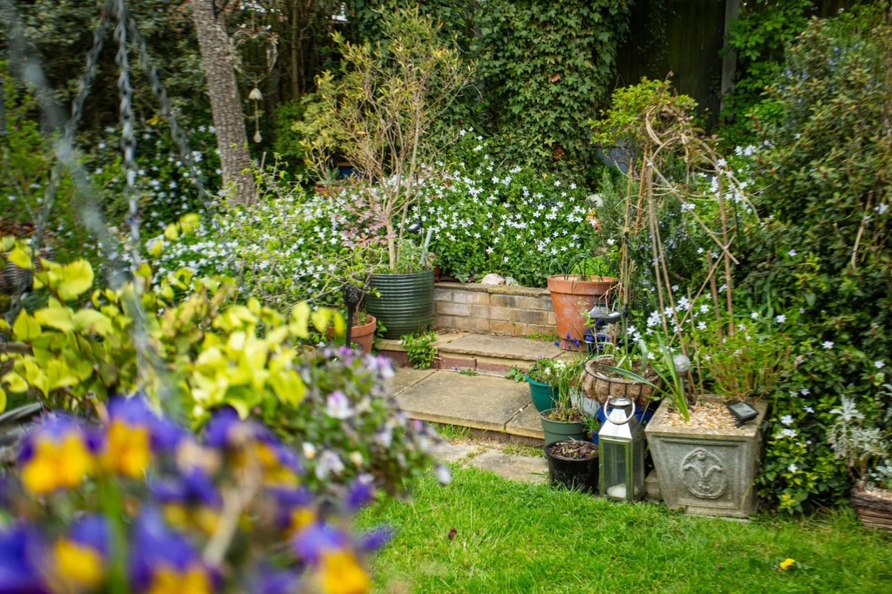 Mayfield Road, Herne Bay, CT6, photo 15