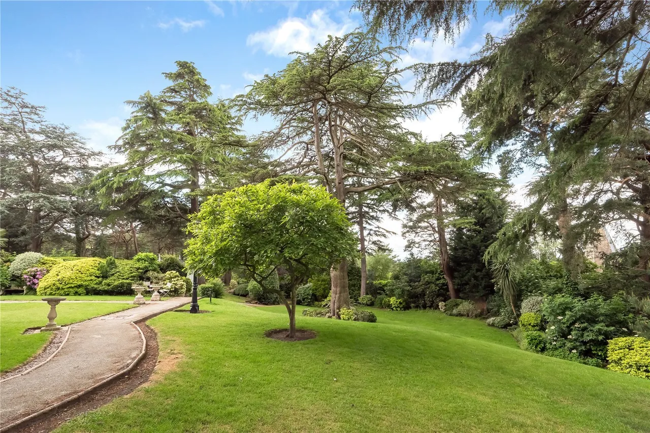 Woodbrook Road, Alderley Edge, SK9, photo 15