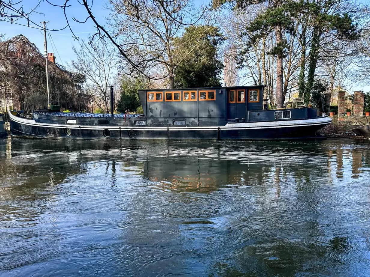Doyle Carte Island, Weybridge, KT13, photo 12