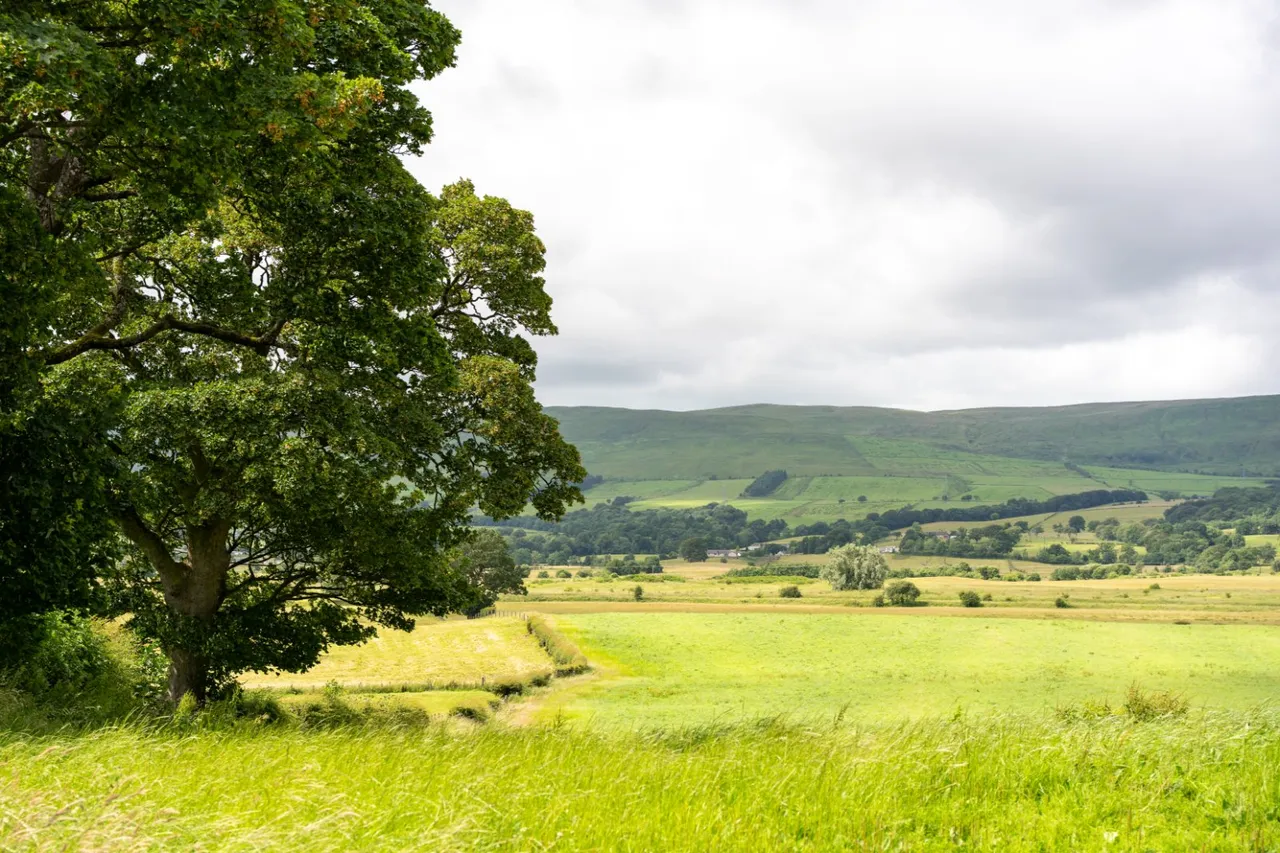 Shirva Steading, Kilsyth, G65, photo 8
