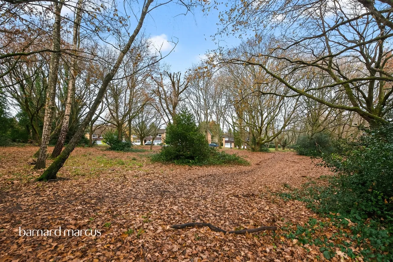 Barfields, Bletchingley, RH1, photo 12
