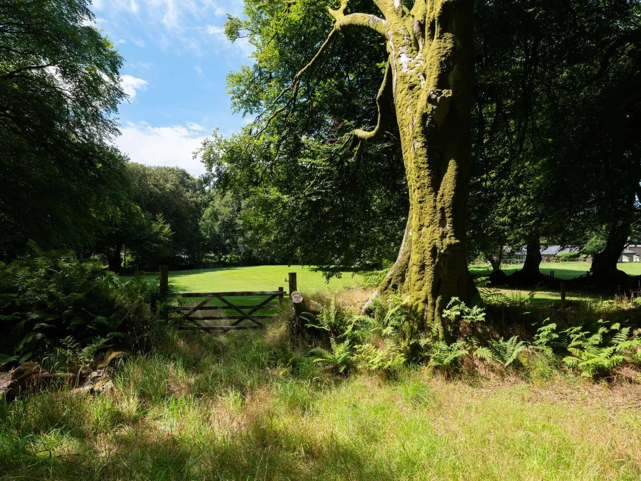 Davidstow, Camelford, PL32, photo 40