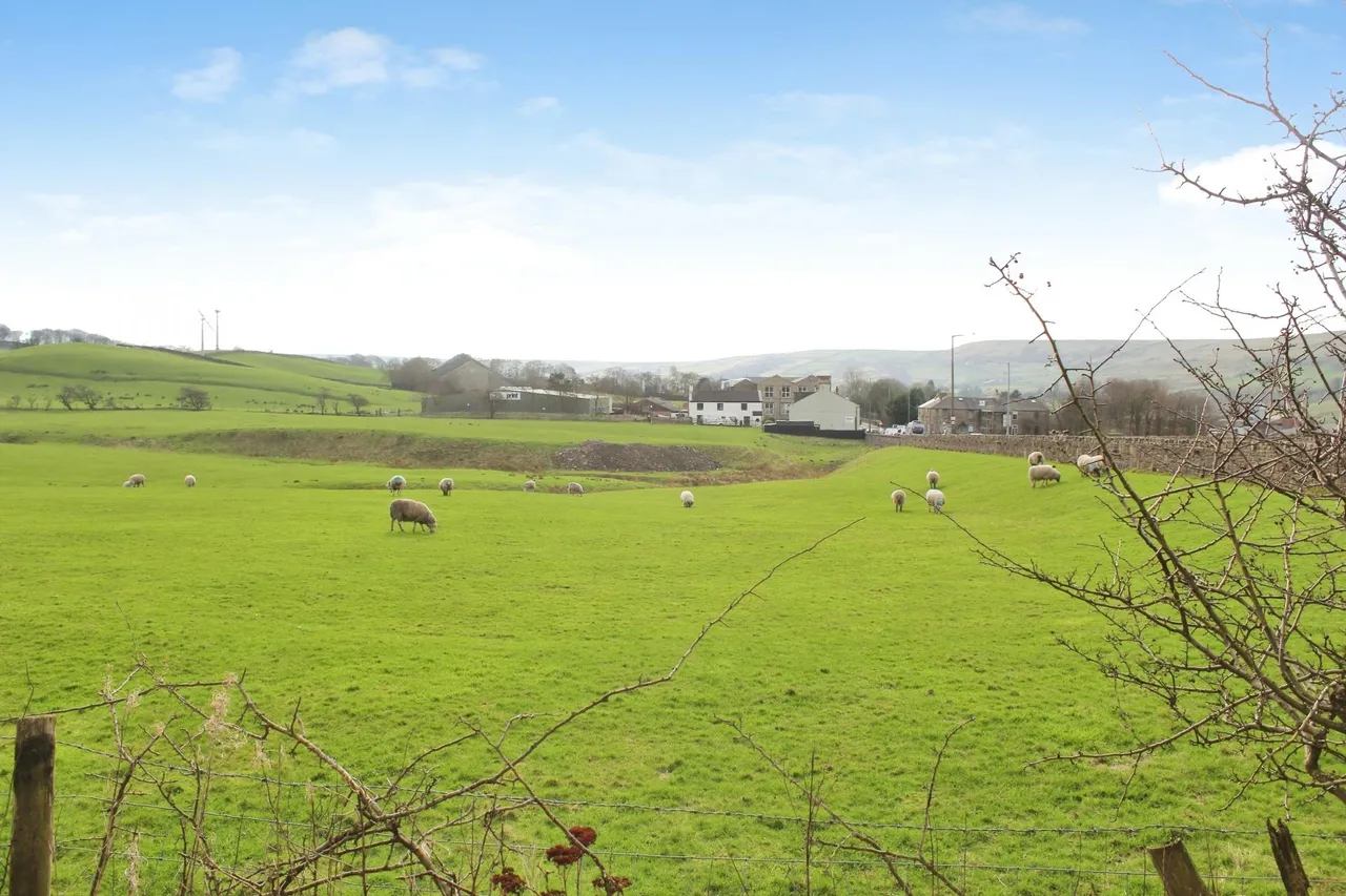 Prospect Terrace, Dunnockshaw, Burnley, BB11, photo 7