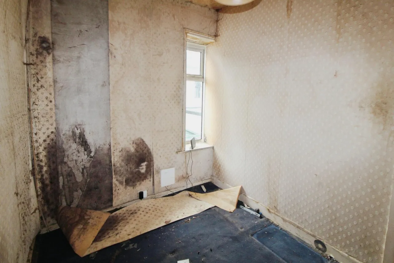 Prospect Terrace, Dunnockshaw, Burnley, BB11, photo 5