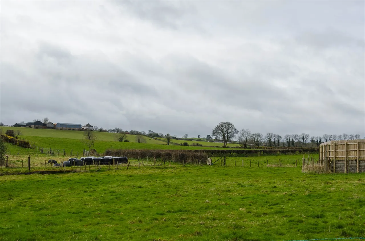 Hillhall Road, Drumbo, BT27, photo 7