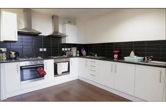 William Henry Street, Liverpool, L3, photo 2
