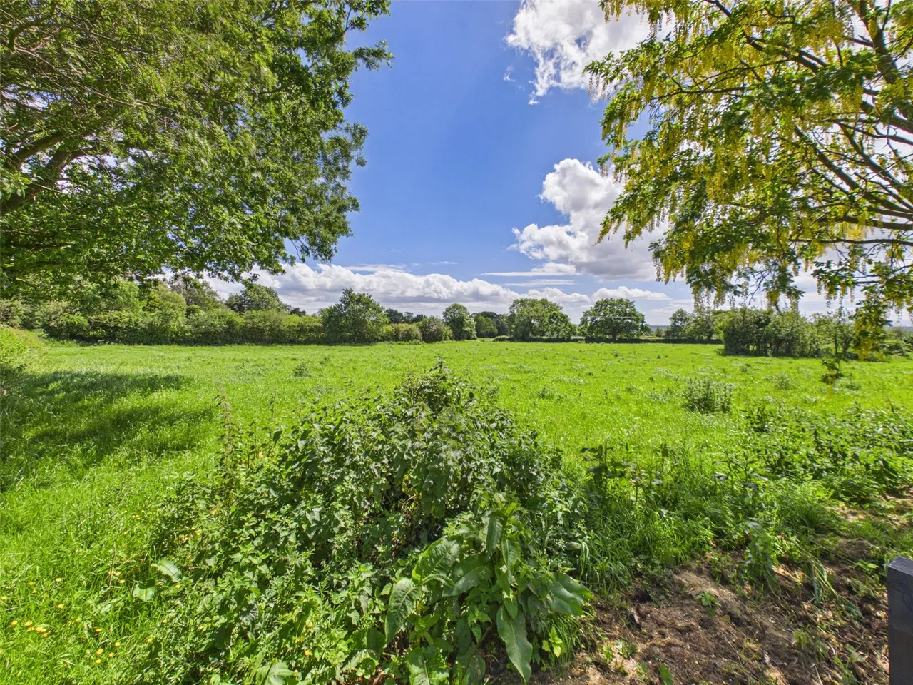 Primrose Lane, Alvanley, Frodsham, Cheshire, WA6 9BS, photo 33