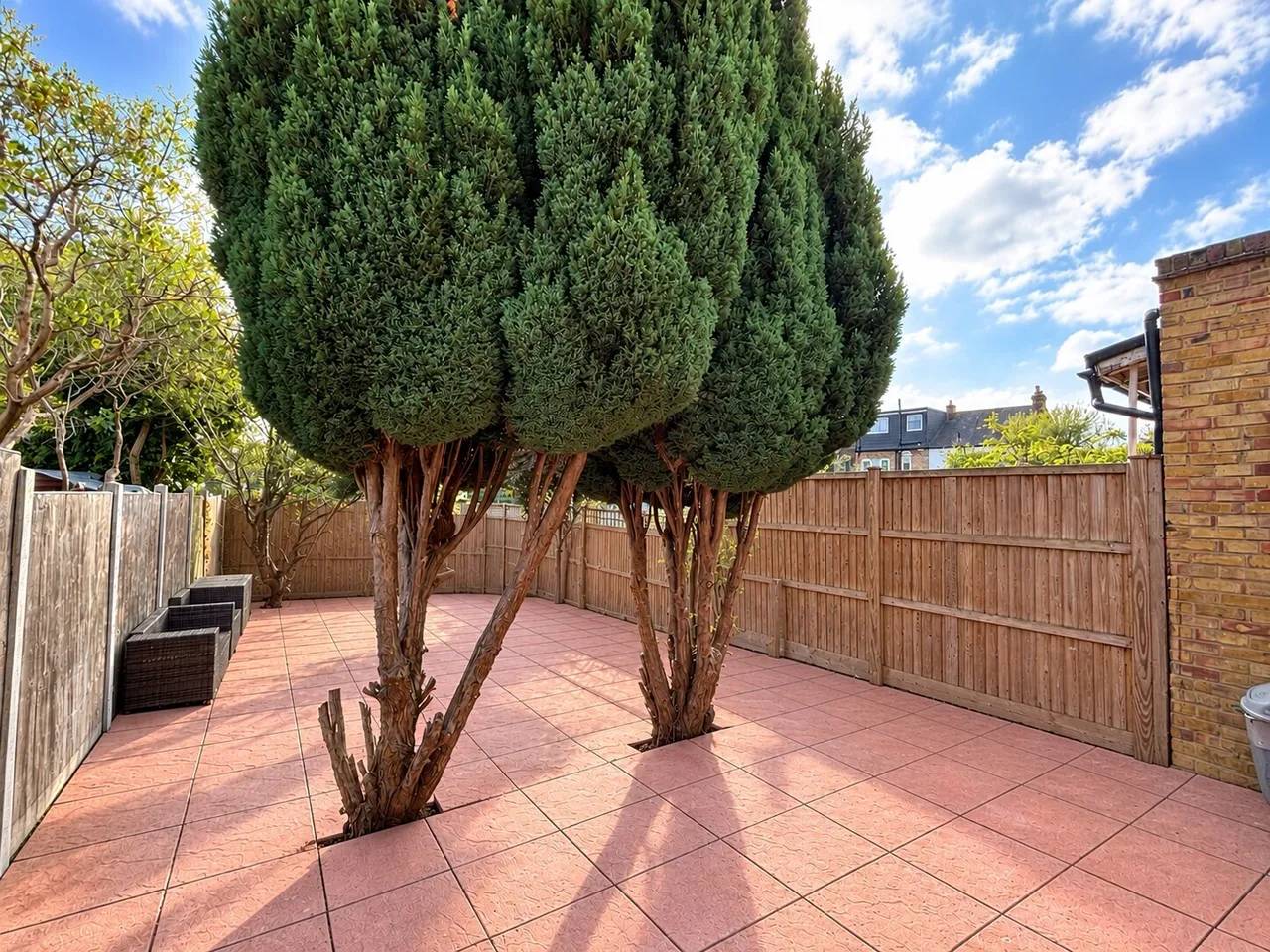 James Lane, Leytonstone, E11, photo 10