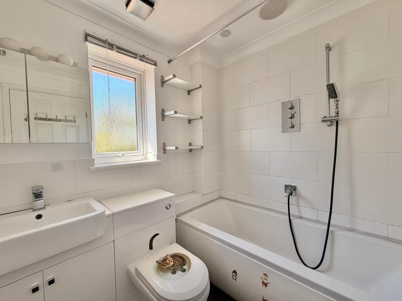 Lynwood Close, St. Leonards-On-Sea, photo 8