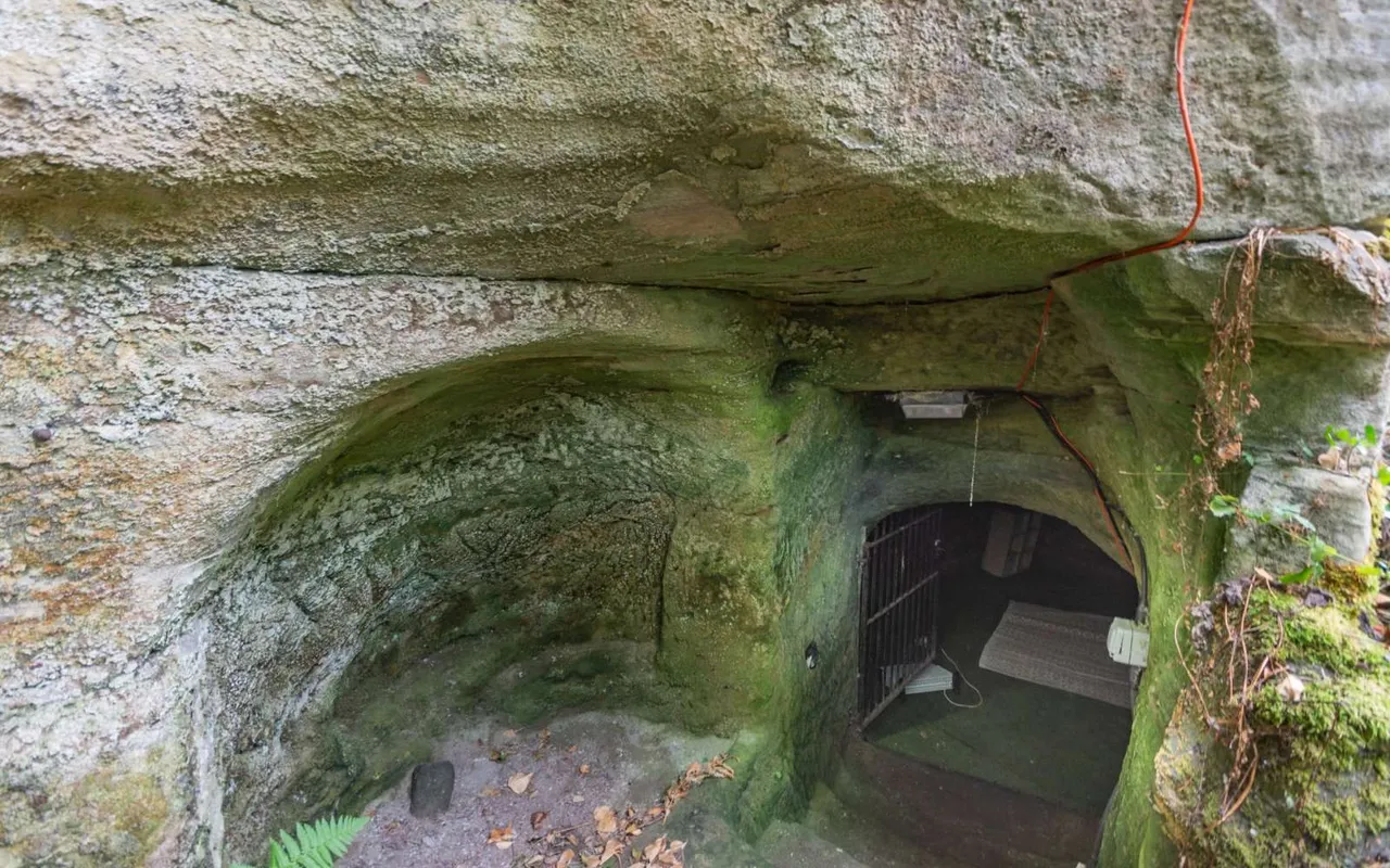 Park Ravine, The Park, NG7, photo 18