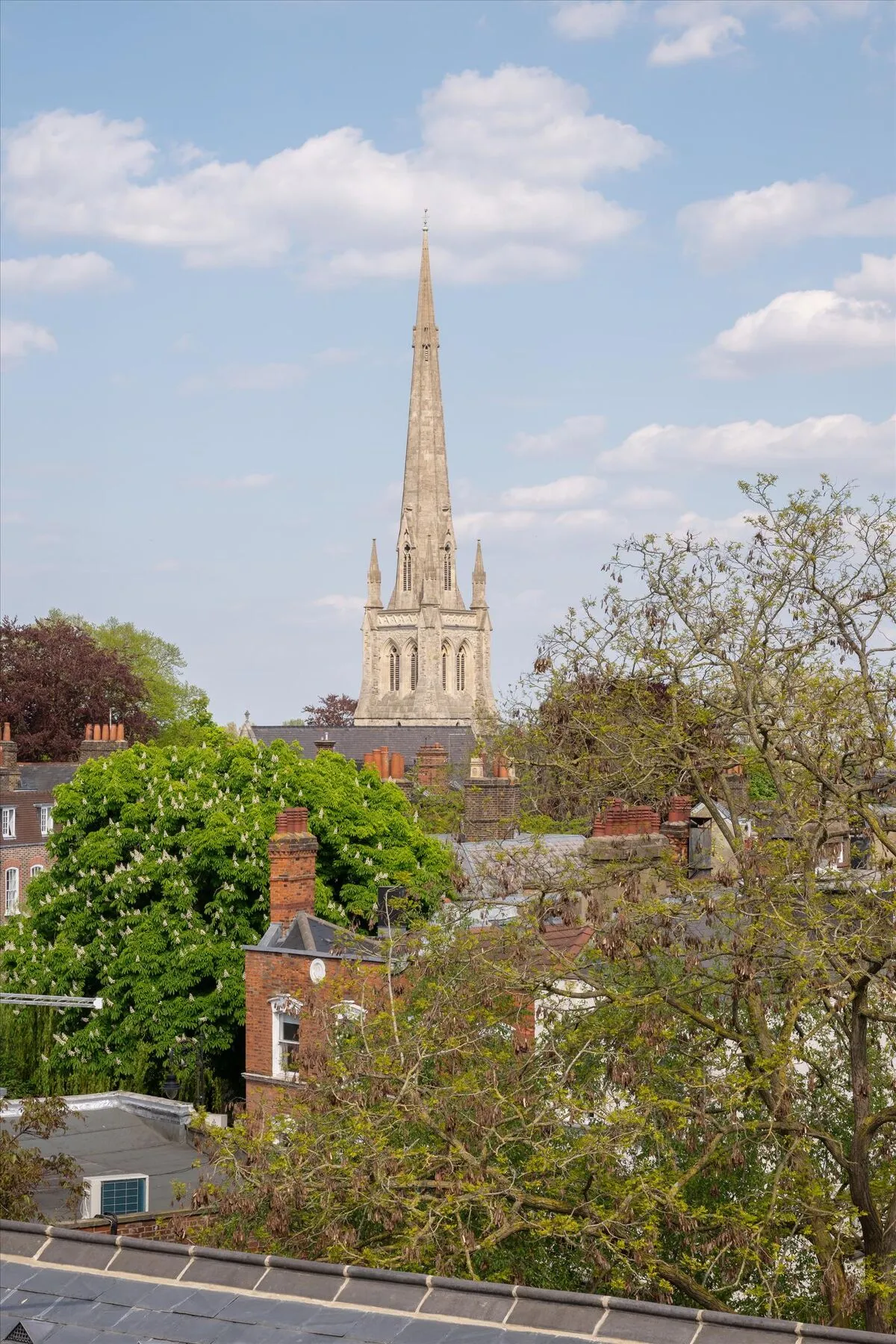 Hampstead Grove, Hampstead, NW3, photo 25