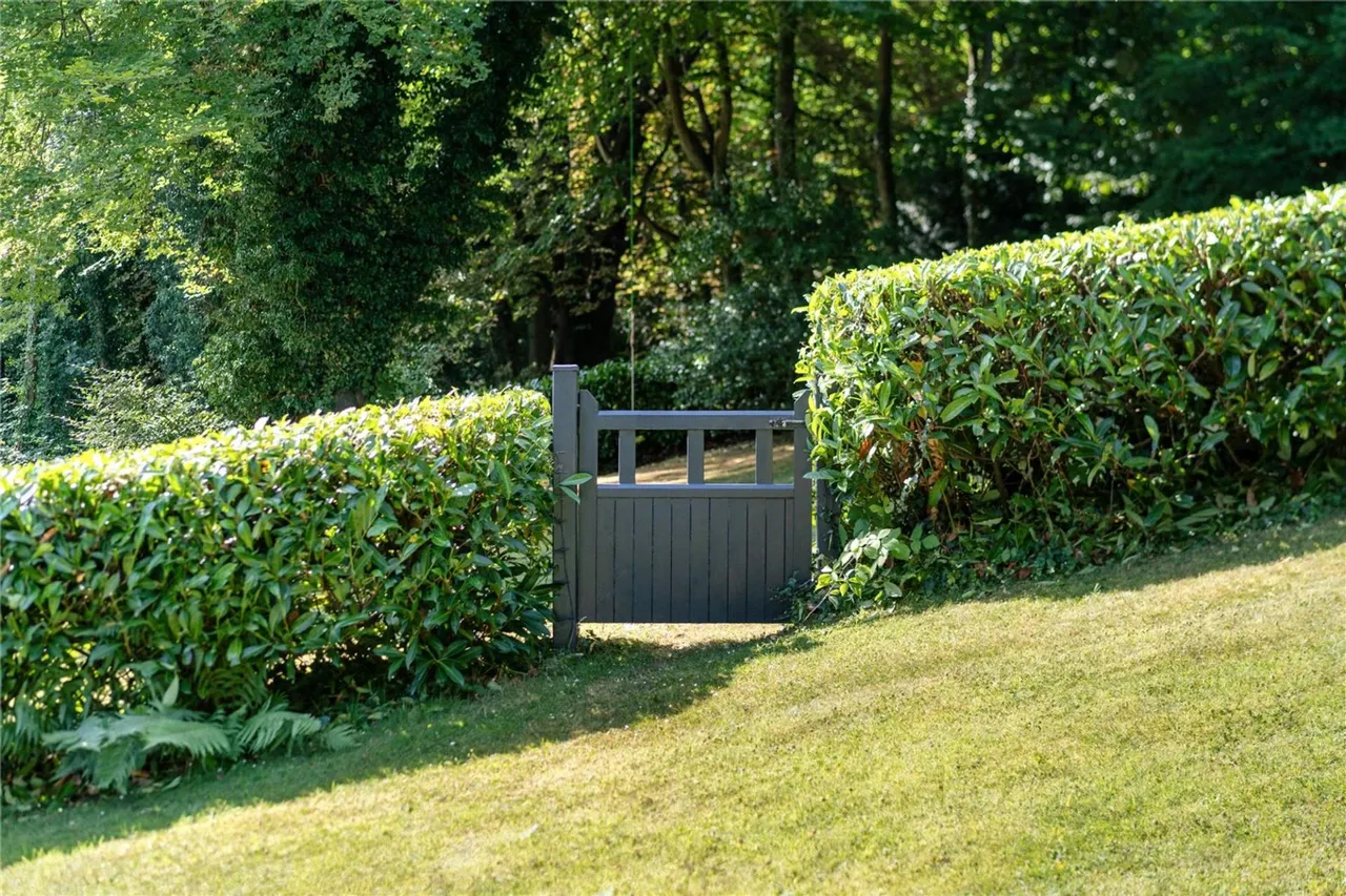 Lunghurst Road, Woldingham, CR3, photo 37