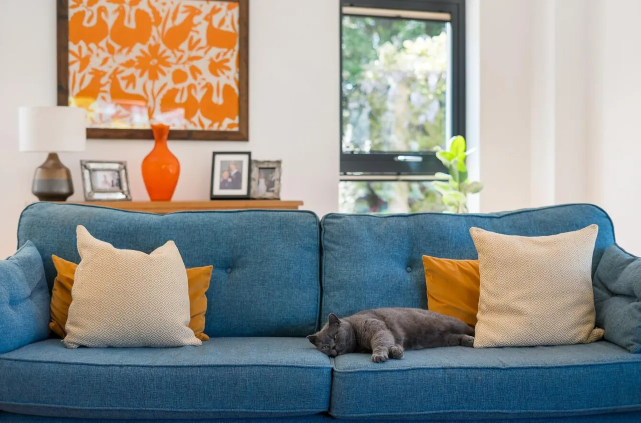 Stunning Contemporary Residence, Grafty Green, photo 12
