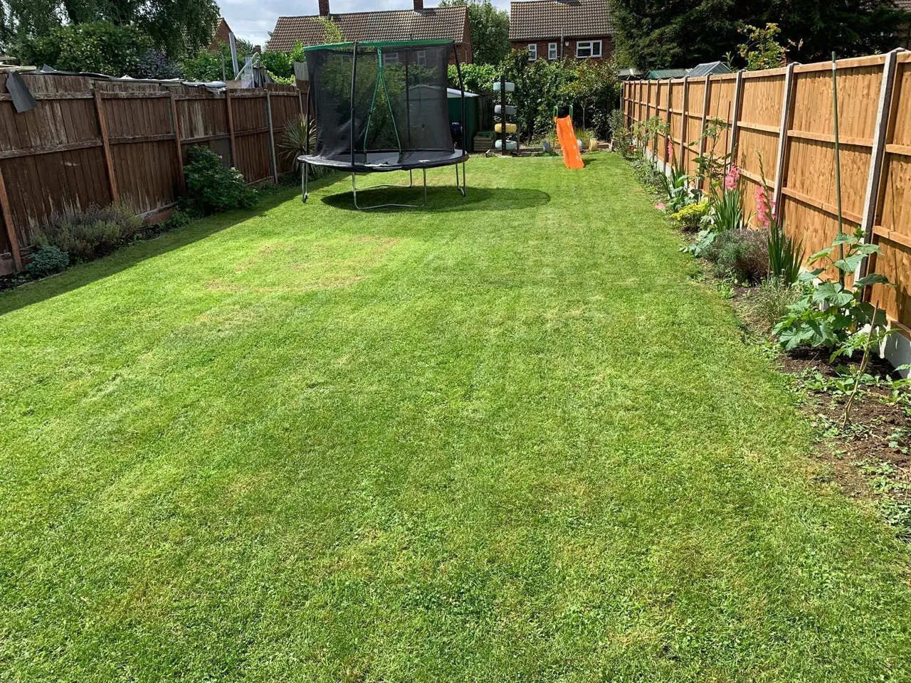 Poplar Avenue, Peterborough, PE1, photo 18