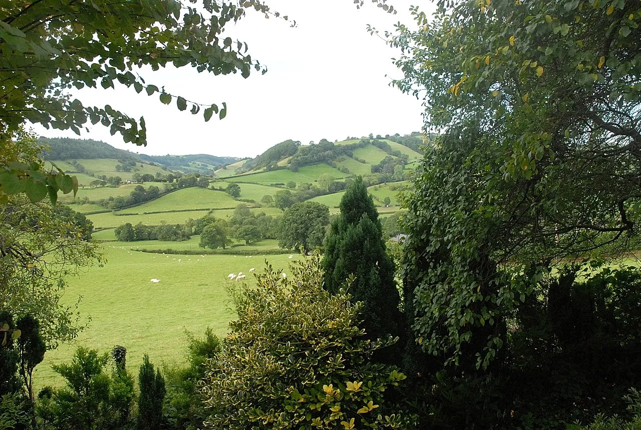 Llanfyllin, Powys, photo 29