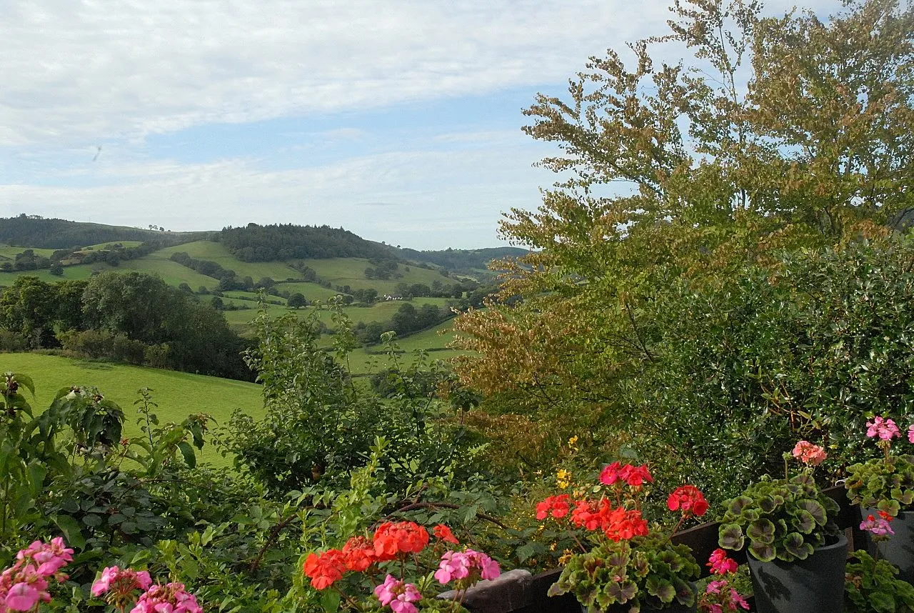 Llanfyllin, Powys, photo 28