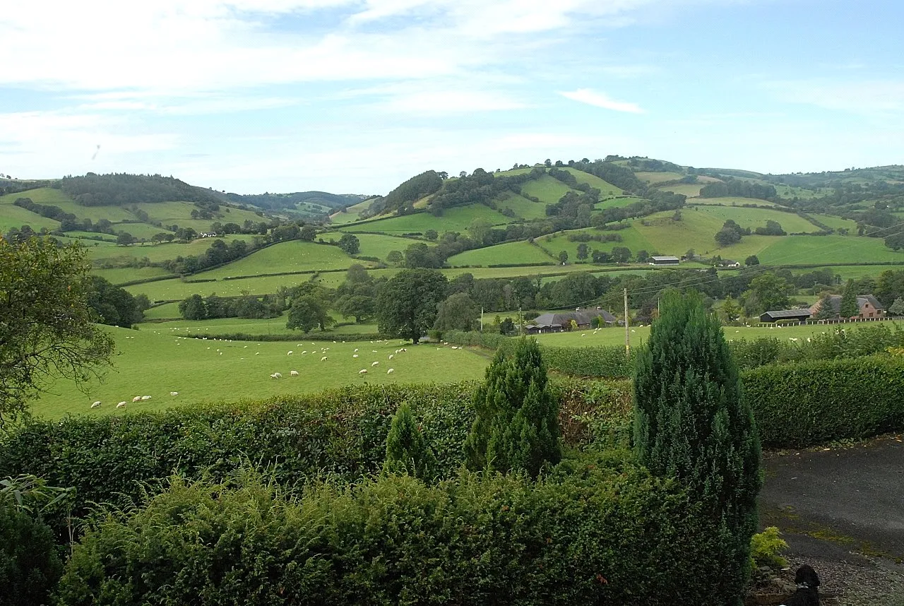 Llanfyllin, Powys, photo 34