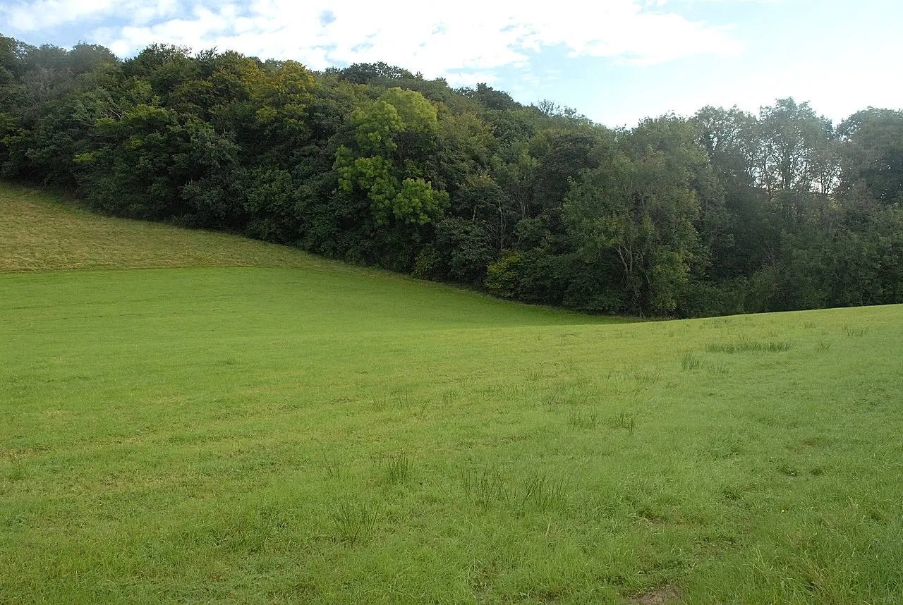 Llanfyllin, Powys, photo 39