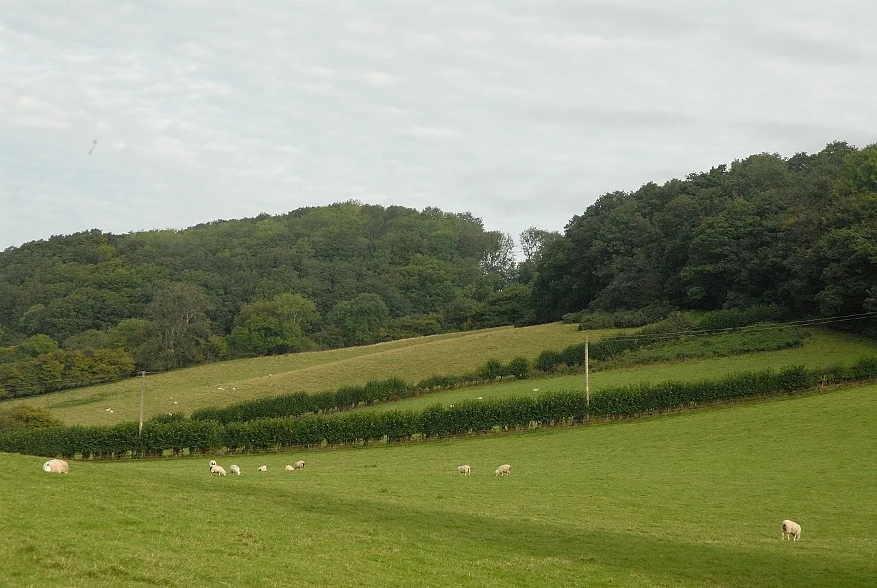Llanfyllin, Powys, photo 31